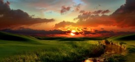 Paysage